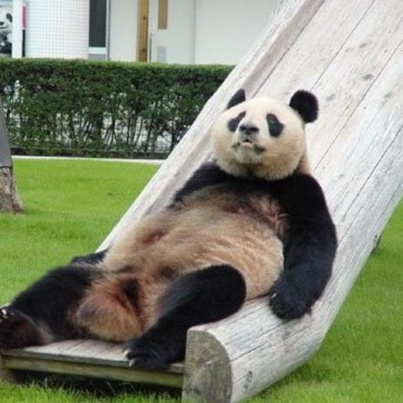 Meet your Posher, Valerie j - Picture 1 of 1